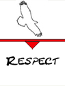 Respect icon